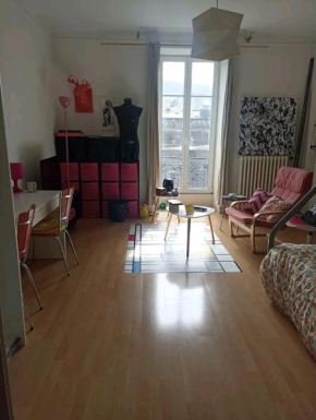 Grande chambre chez l'habitant dans hypercentre piéton